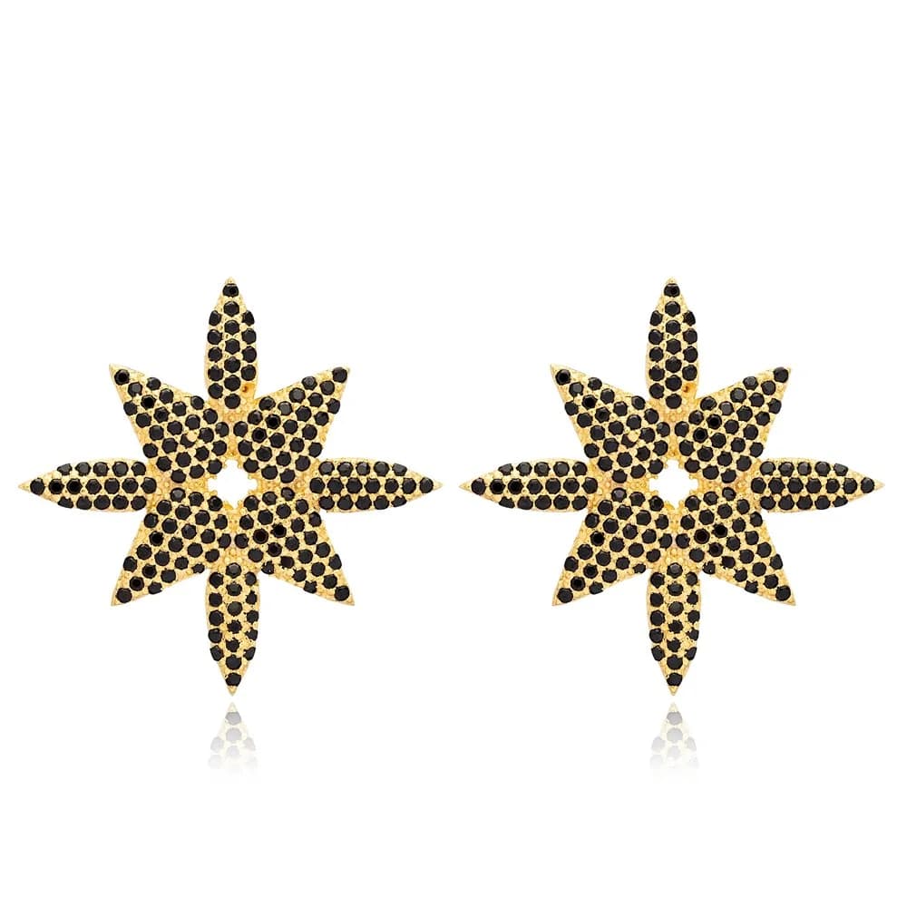 Black Zircon Stone 925 Silver Stud Earrings